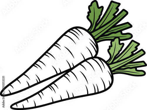 A simple illustration of two overlapping white daikon radishes with green leafy tops.