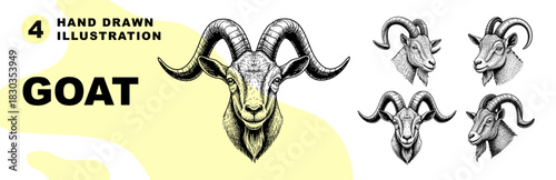 Goat Hand Drawn