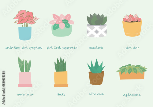 plant collection3