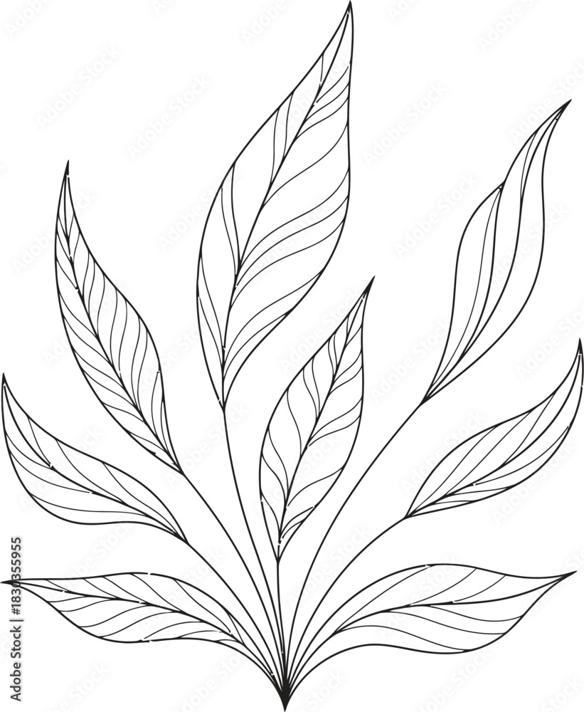 Obraz premium Abstract plant illustration, stylized leaves fanning out, organic growth, elegant botanical design, flowing lines