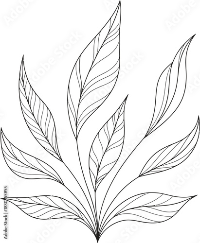 Abstract plant illustration, stylized leaves fanning out, organic growth, elegant botanical design, flowing lines