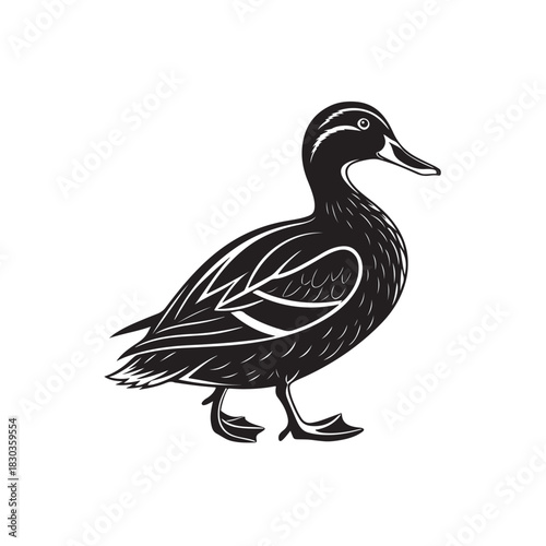duck vector ‍art illustration on white background.