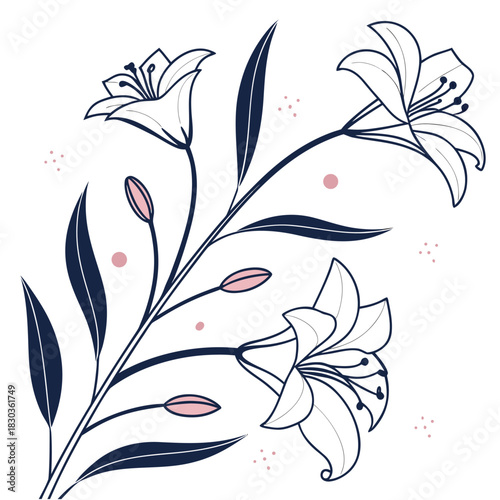 Organic Abstract Petal Shapes | Minimal Line Contour Vector