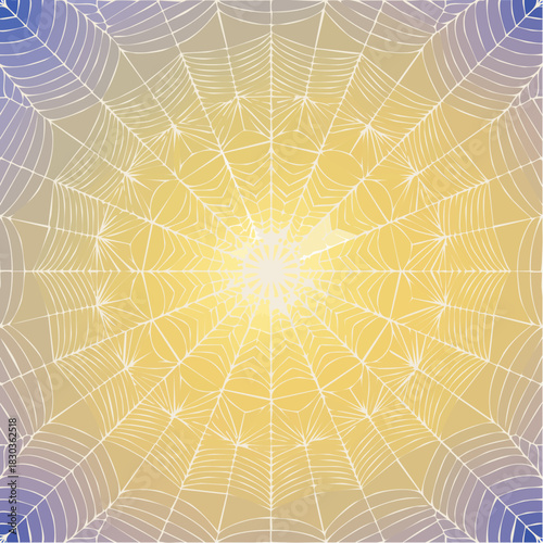 Radiant Sunburst Spiderweb Background - A Detailed View of Nature's Intricate Design
