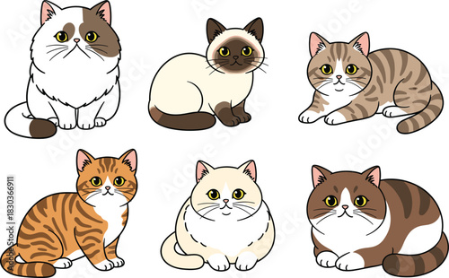 Cute Vector Illustration Collection of Various Domestic Cat Breeds, Including Himalayan, Siamese, Tabby, and British Shorthair, Featuring Fluffy Fur and Adorable Poses for Pet Design