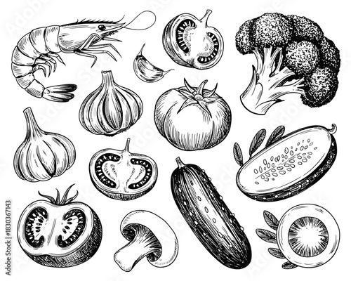 Hand drawn sketch of fresh vegetables and shrimp collection