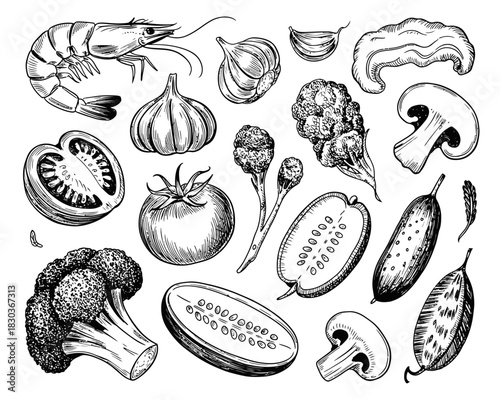 Hand drawn collection of fresh vegetables and shrimp illustration