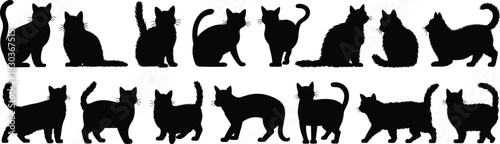 Cat silhouette icon set, feline posture variation collection, walking sitting turning poses, black white vector, cad drawing flat vector illustration