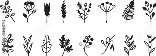 Botanical vector pack: hand-drawn floral elements, leaves, and branches eps silhouette