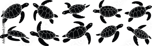 Sea turtle silhouette icon set, swimming pose variation collection, marine animal graphics, black white vector, cad drawing flat vector illustration