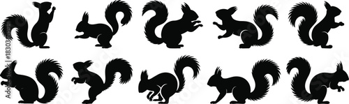 Squirrel silhouette icon set, dynamic animal pose collection, bushy tail movement graphics, black white vector, cad drawing flat vector illustration