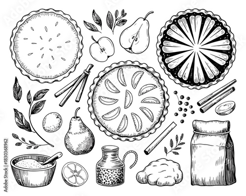 Hand drawn baking ingredients and pies illustration