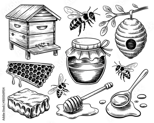 Collection of hand drawn honey bees and apiary elements