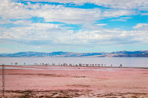 Great Salt Lake, water reflection, pink Salt Lake
