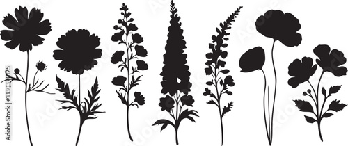 Flower silhouette vector pack: cosmos, larkspur, poppy floral designs eps