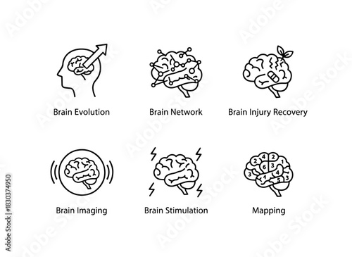 Brain Evolution Brain Network Brain Injury Recovery Brain Imaging Brain Stimulation Icons