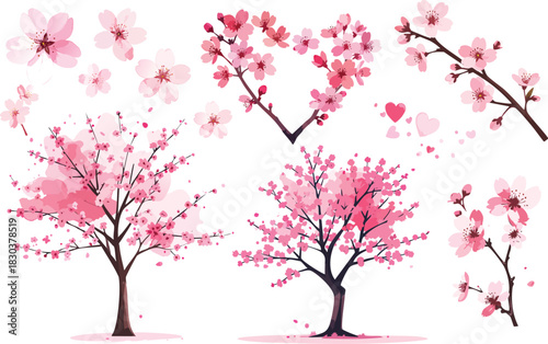 cherry blossom water colour