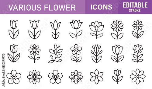 Minimal Line Icons of Various Flowers Featuring Blossoms, Tulips, Petals, Floral Branches, Garden Blooms, and Botanical Elements