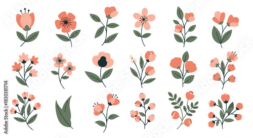 A delightful collection of sweet, hand-drawn floral illustrations featuring various pink and coral flowers with green leaves, perfect for spring and decorative designs.