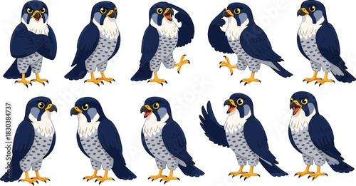 Collection of peregrine falcon illustrations isolated on white background set of falcon bird in different poses and actions vector cartoon