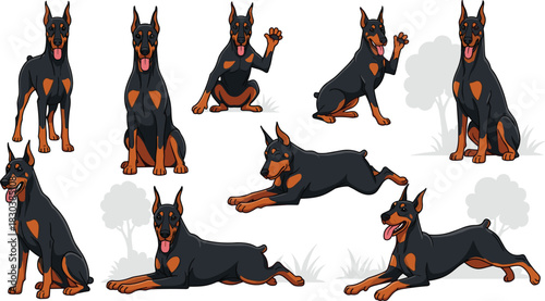 Collection of doberman pinscher in different poses isolated on white background set of cartoon dog character in various positions vector illustration