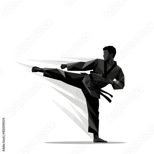 Dynamic low-poly vector illustration of a martial artist in a black uniform executing a powerful side kick against a white background