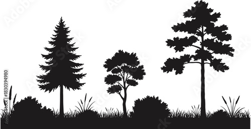 Silhouette of trees and plants, forest landscape illustration, natural vegetation diversity, pine and deciduous trees, black and white design
