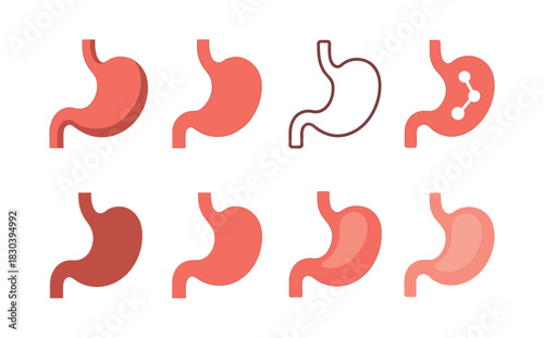 Stomach anatomy, vector illustration, digestive health icons, flat vector style