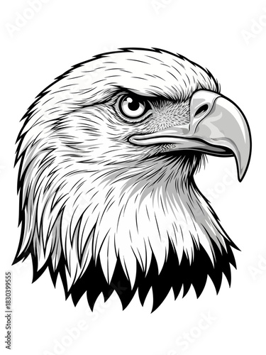 Bald Eagle Head Illustration: Detailed Black & White Vector for Strength & Patriotic Designs