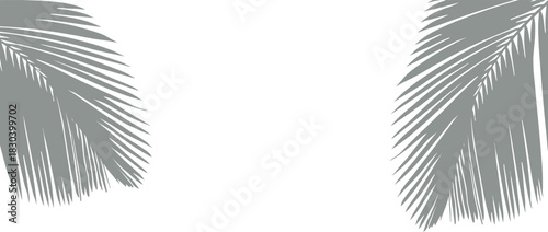 Minimalist tropical palm leaf border illustration with soft gray silhouettes on both sides. Clean, modern botanical frame suitable for invitations, social posts, and branding. Ideal for summer, beach,