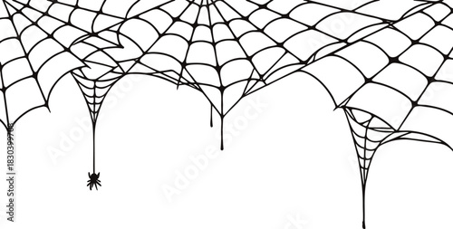 Detailed hanging spiderweb illustration with multiple web sections and a single dangling spider. Clean black-line art ideal for Halloween, spooky décor, and themed graphic designs. Perfect for use 