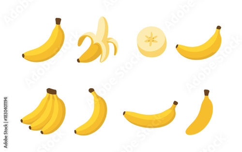 Banana variety collection, fruit slices and bunches, flat vector illustration
