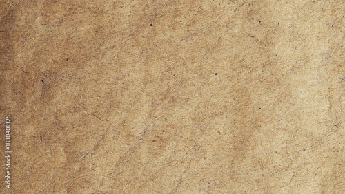 Blank cardboard recycle paper macro close up view. Cardboard sheet texture background, pattern of brown kraft paper with vintage style.