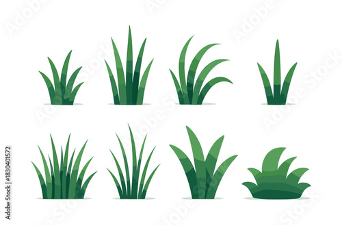Grass types collection, flat vector illustration, grass blades and foliage