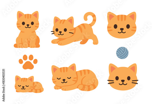 Cute cats collection, flat vector illustration, kittens, feline design elements