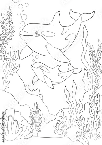 Black and white line art coloring page. Marine wild animals.A cute mother orca and her happy calf