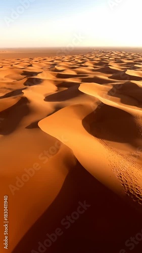 Golden Dunes: An aerial perspective of the vast desert, sculpted by wind, unveils undulating patterns under a serene sky. This image evokes feelings of isolation, serenity.