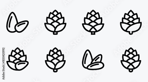 Pine cone and almond icon set simple line drawing style