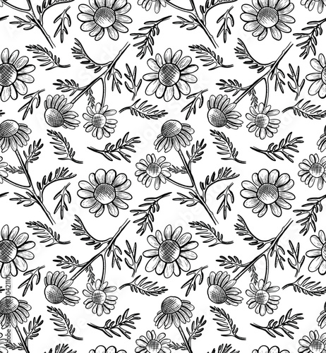 Seamless vector pattern with daisy flowers on a black and white background. Monochrome botanical illustration with wildflowers. Hand-drawn line art with flower silhouettes.
