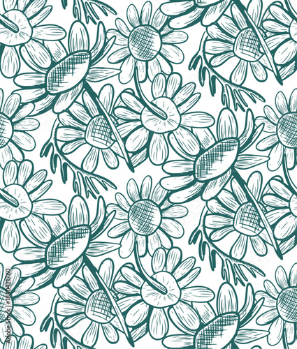 A seamless vector pattern with daisy flowers in a popular color. A monochrome botanical illustration featuring wildflowers. Hand-drawn line art with flower silhouettes.