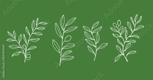 Olive branch, hand drawn olive leaves and branches collection