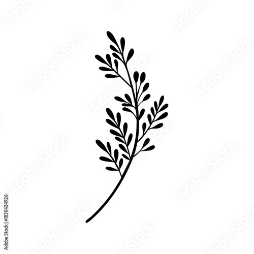 minimal plant branch leaves, icon, leaf, vector