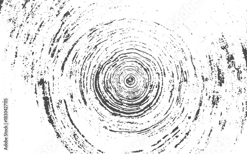 Natural Wood Circle Texture.Clean Rustic Timber Pattern for Logos, Stickers & Design Elements.