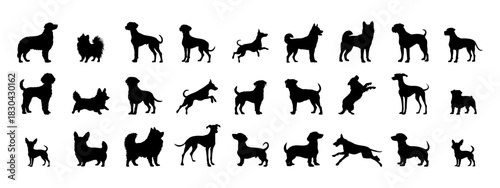 Animal silhouette of dog breed in different poses