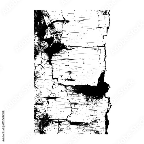 Closeup of a birch tree bark texture isolated on, showcasing the intricate patterns and rough surface of the natural material