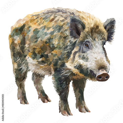 Artistic isometric watercolor image of Wild Boar, isolated on a white surface.