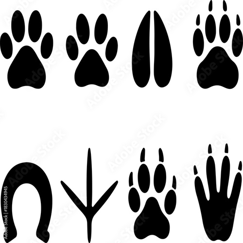 Animal footprints collection diverse set of paw prints hoof prints and bird tracks in black silhouette on a clean white background for design elements