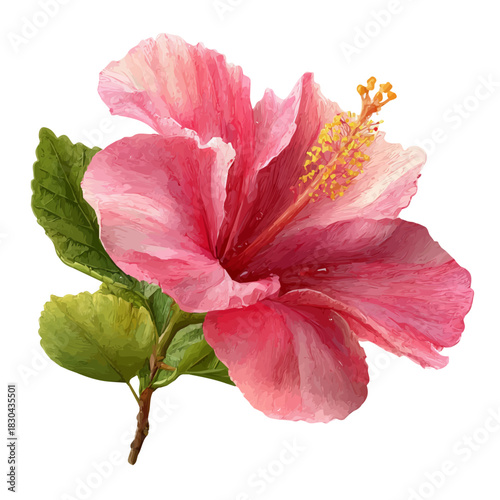 Isometric watercolor rendering of Hibiscus Flower, isolated on a clean white background.