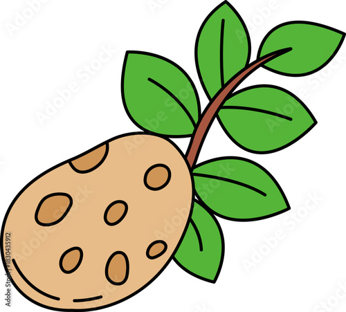 single illustration of A potato