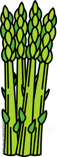 single illustration of an asparagus